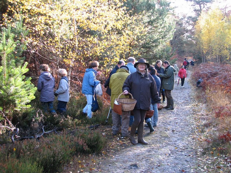 2009-11-15-Mycologie au Poteau des Quenouilles avec la SMF
